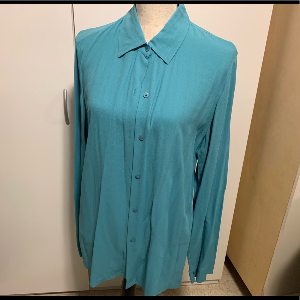Teal blouse